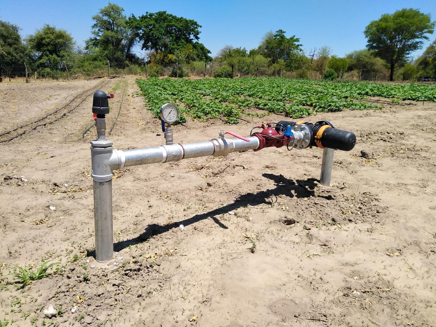 Kapapa Kampunza Green Scheme