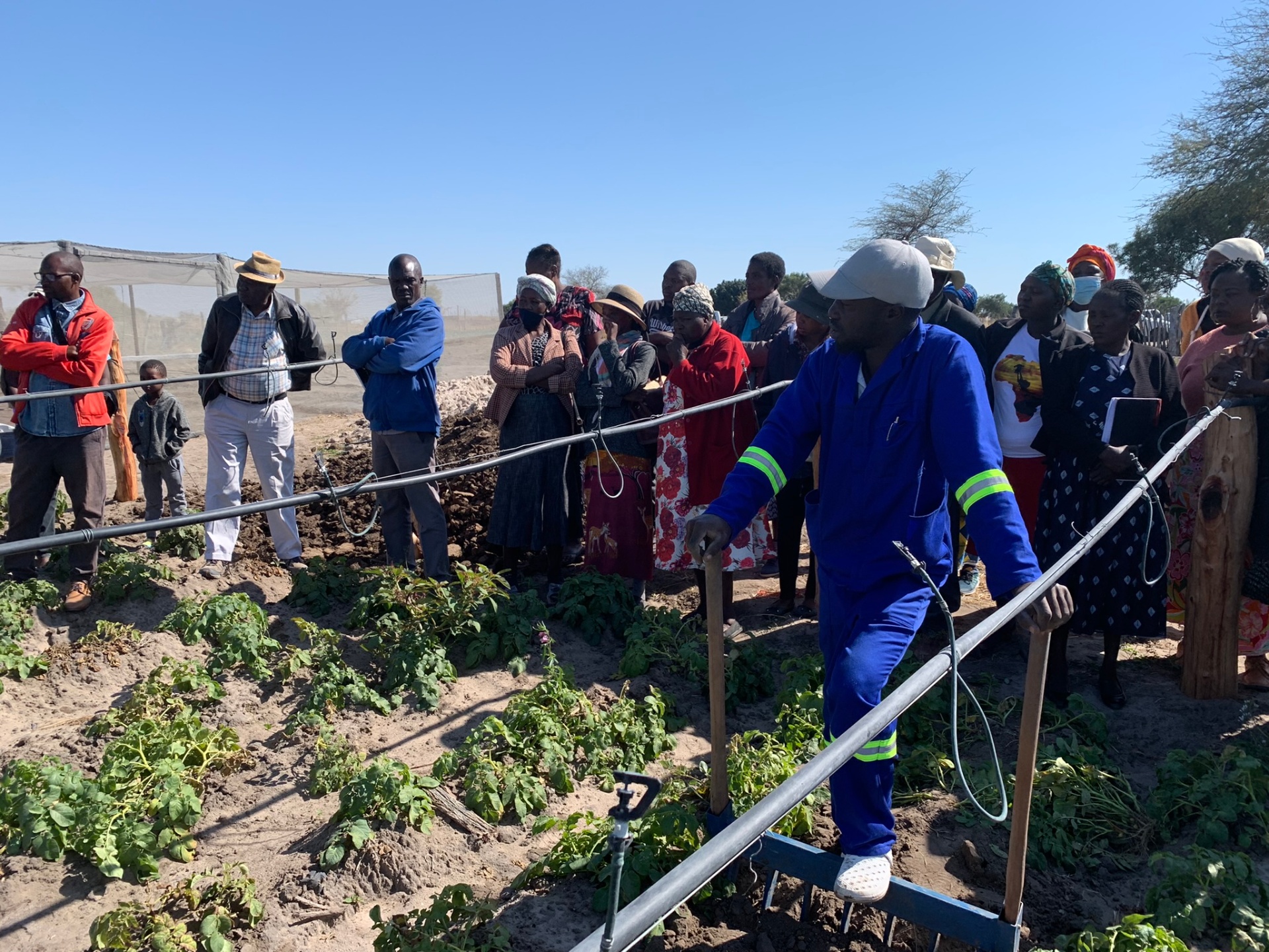 Farm/Project Management